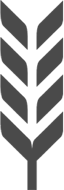 WHEAT-dark